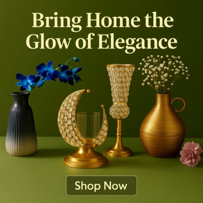 Shop Exclusive Vase Collections On Sale!