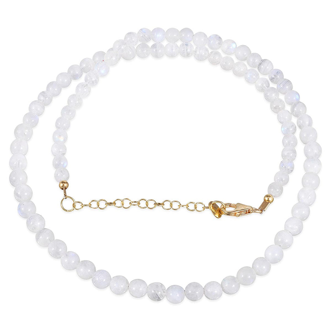 Product Details & Build Quality