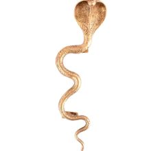 Golden Brass Snake Handle