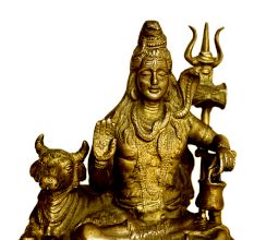 Brass Shiv (Ht-5.9 Inches)