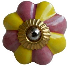 Yellow Pink Knob