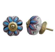 Osteospermum Knob