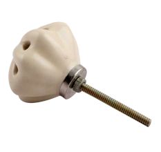 Cream Daffodil Ceramic Flower Dresser Knob