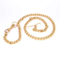 Brass Dog Chain