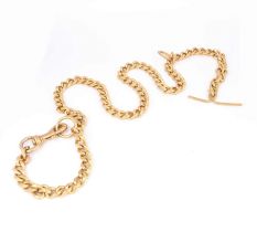 Brass Dog Chain
