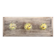 Eye Medium Ceramic Wooden Hooks