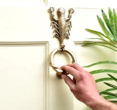Scorpion Design Vintage Style  Brass Door Knocker
