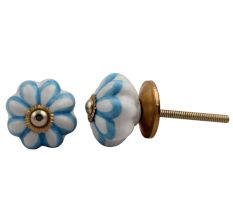 Sky Blue Medium Knob