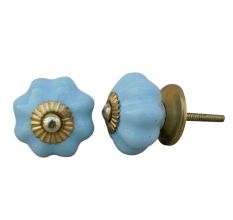 Sky Blue Medium Knob