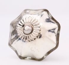 Shining Silver Knob