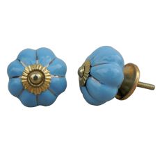 Sky Blue Silver Knob