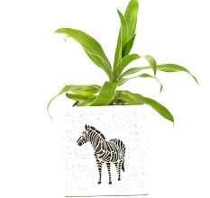 Ceramic Offwhite Zebra Bucket Planter