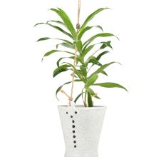 Offwhite Ceramic Bucket Planter