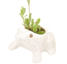 Ceramic  White Hand Crafted Miniatures Frog Flower Pots