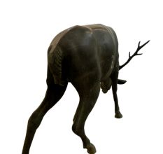 Life Size Bronze Deer
