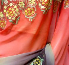 Orange Beige and Maroon Hand Embroidered Georgette Sari