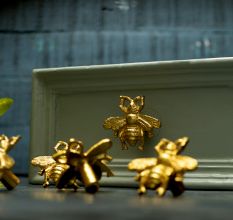 Golden Bee Aluminium Drawer Knob Online
