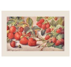 Strawberry Rasberry Seamless Pattern Poster