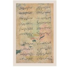 Camp Scene Of Four Prince Campaigainig in a Forest