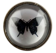 Butterfly Inside Glass And Metal Drawer Knob