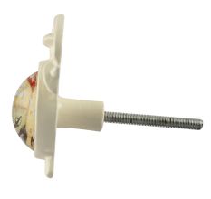 Watch Inside Glass And Metal Drawer Knob