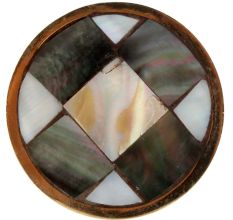Mixed Shell Brass Knobs