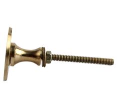 Mixed Shell Brass Knobs