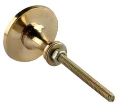 Mixed Shell Brass Knobs