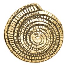 Brass Tribal Spiral Coiled Shell Shaped knob