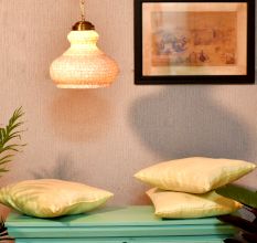 Shell Lamp