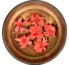 Solid Brass Decorative Urli Cooking Vessel