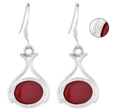 Sterling Silver Earrings Casual Wear Red Carnelien Fish Hook Earrings