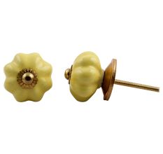 Yellow Melon Medium Knob