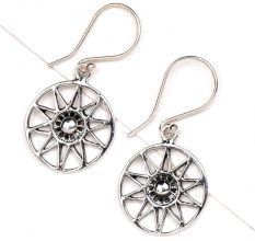 Starry Floral Delight 92.5 Sterling silver Earrings In Delicate Round Frame