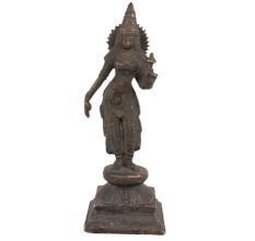 Brass Goddess Laxmi Statue Standing With Lotus Flower