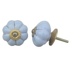 Light Blue Golden Knob