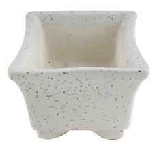 Rectangular White Planter Pot With Small White Dots