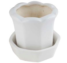 White Ceramic Scallop Planter With Tray