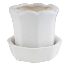 White Ceramic Scallop Planter With Tray