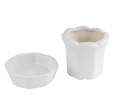 White Ceramic Scallop Planter With Tray