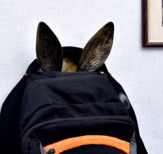 Rabbit Ear Aluminum Decorative Hook
