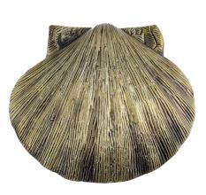 Antique Sea Shell Iron Door Knocker