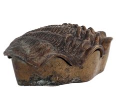 Lovely Box Like Shell Shape For English Arts And Accents