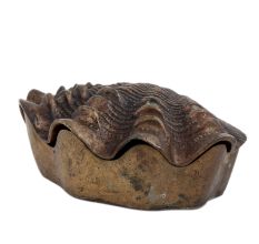 Lovely Box Like Shell Shape For English Arts And Accents
