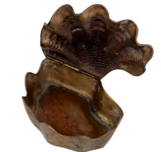 Lovely Box Like Shell Shape For English Arts And Accents