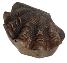 Lovely Box Like Shell Shape For English Arts And Accents