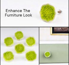 Lime Green Ceramic Drawer Knob