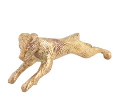 Running Small Dog for Your Living Room