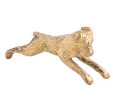 Running Small Dog for Your Living Room