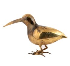 Bird With Long Beak
